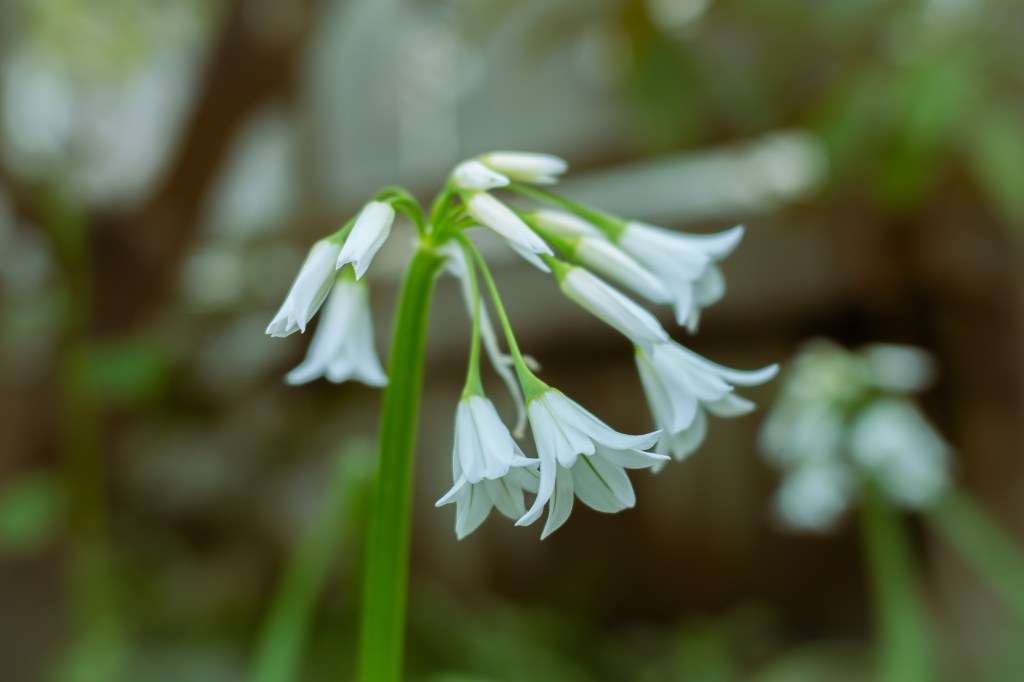 FIRST PHOTOS ON MY SONY&nbsp;A7IV