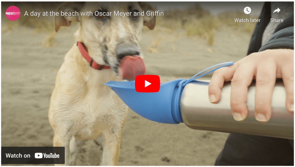 FIRST VIDEO ON MY SONY&nbsp;A7IV